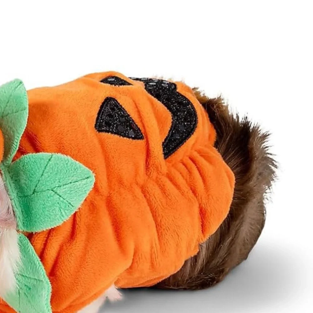 Thrills & Chills Guinea Pig Small Pet Pumpkin Holiday Halloween Costume - Picture 1 of 4
